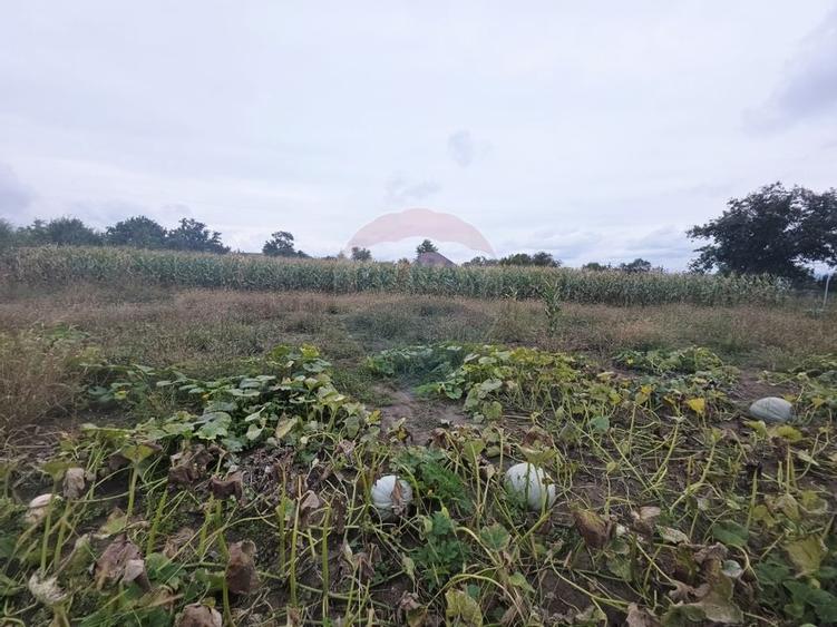 Casă cu livadă și teren generos – Girov - 44