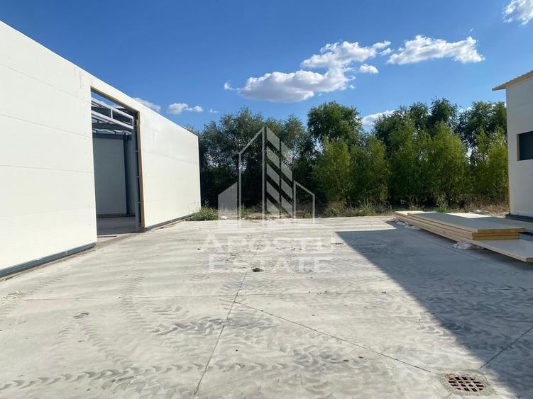 Hala noua de inchiriat 550 mp, birouri, parcare, Sacalaz. - 12