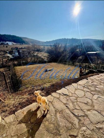 Casa tip duplex, 200 mp, zona Tautiului - 6