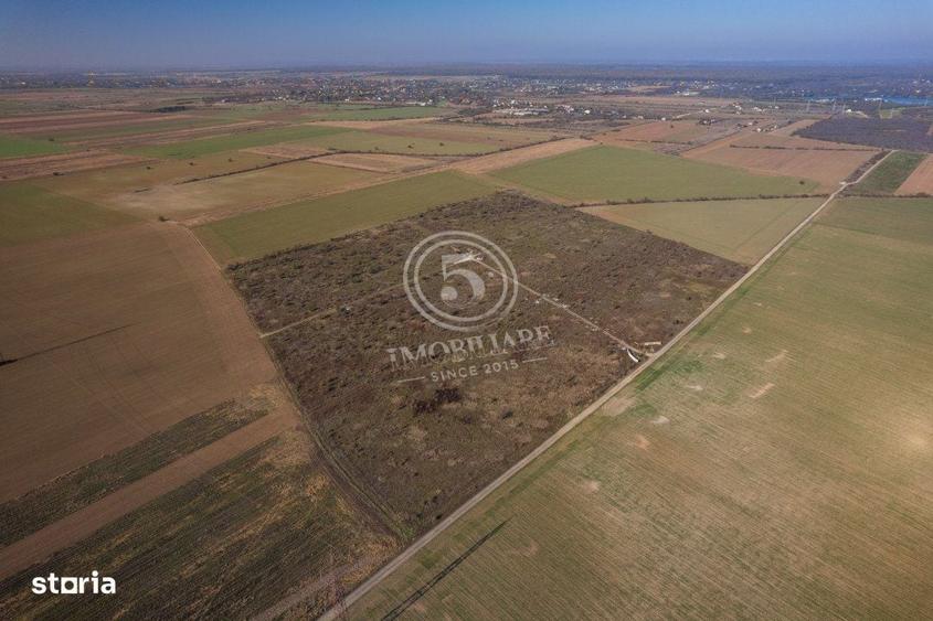 Ocazie- Teren Intravilan de Vanzare- Peris Snagov- Doar 10 euro/mp - 10