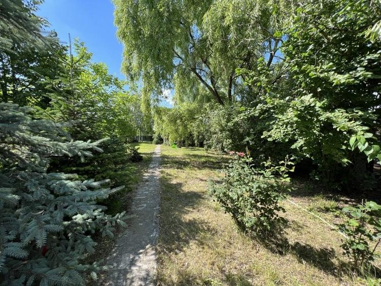 Casa-langa studiourile Buftea, 2 constructii, curte cu pomi, 2300mp, langa lac - 45