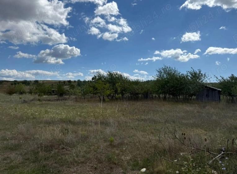 Vand teren / doua parcele - 4