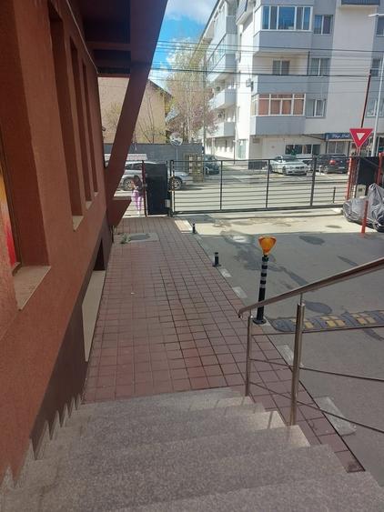 Berceni, Dimitrie Leonida Metrou - 4