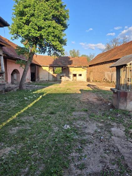Casa + 2000mp Teren Gura Vaii (Tara Fagarasului) - 2