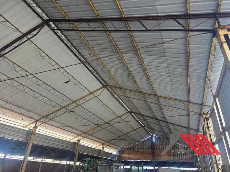 Cheveresul Mare – Platforma betonata, Hala - 2