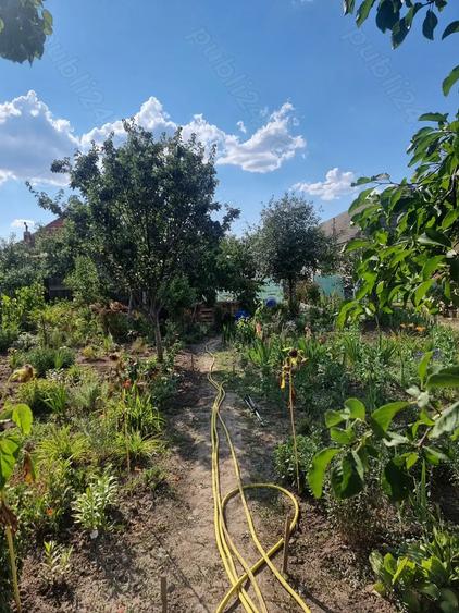 Casa de vanzare cu gradina mare in Covaci. - 7