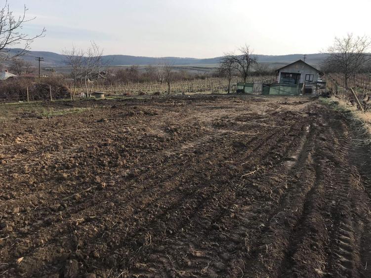 Teren de vanzare - 4