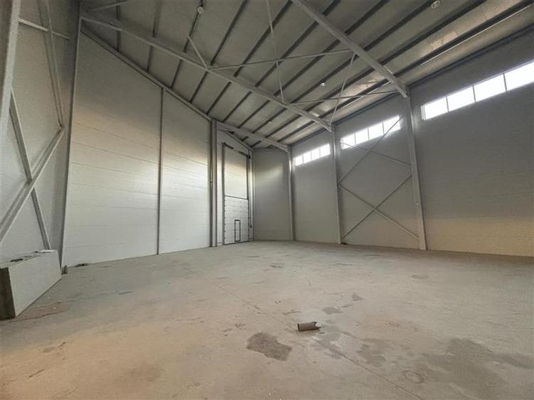 Vanzare depozit/hala/spatiu industrial Mogosoaia - Centura - 10