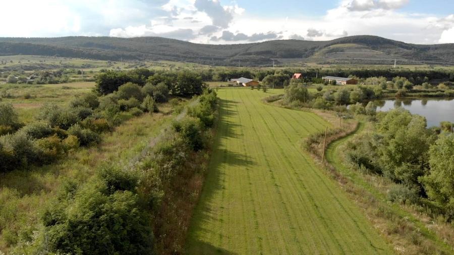 Lac Piscicol cu teren 7,5 HA de vanzare in Jud Sibiu la 10 km de Sibiu - 5