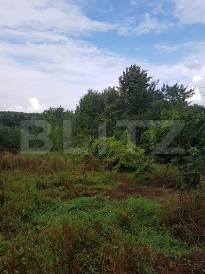 Teren Construcții intravilan de 2500 mp, în Bucium