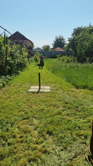 Casă cu 2 camere în Exterior Vest