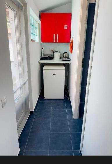 Apartament cu 3 camere decomandat, mobilat în Ultracentral