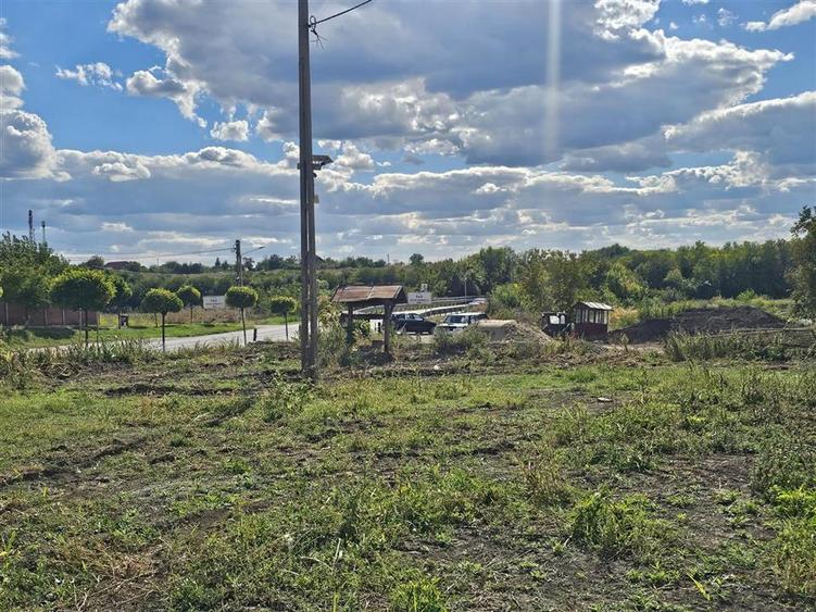 Teren Construcții intravilan de 2529 mp, în Sinești