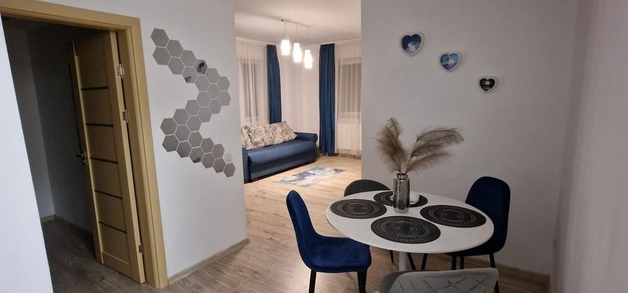Apartament 2 camere mobilat utilat termen lung Vega - 2