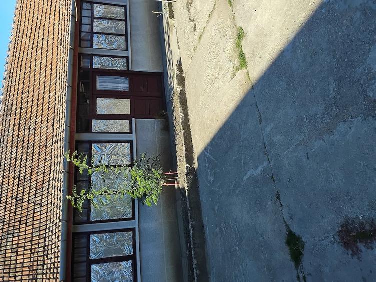 Casă cu 3 camere cu Teren 1400 Mp în Central