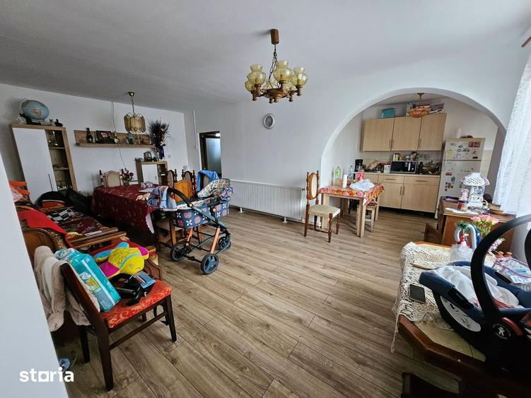 Casa cu 1566 mp teren in sat Mandruloc, com. Vladimirescu, jud. Arad - 13