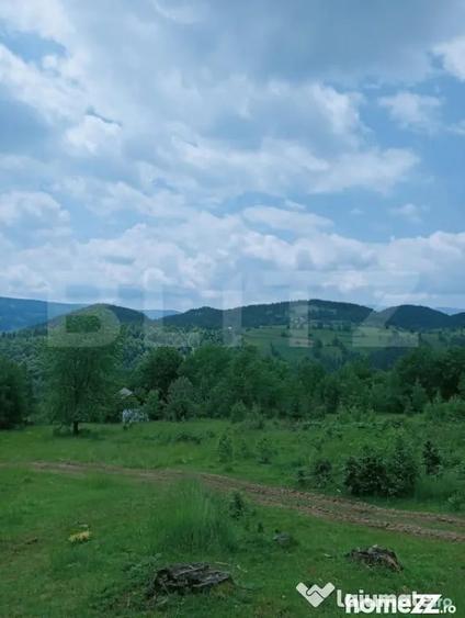 Teren în Scărișoara