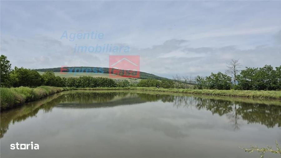 Proprietate deosebita de vanzare | Casa, 13.200 mp teren, doua iazuri - 11