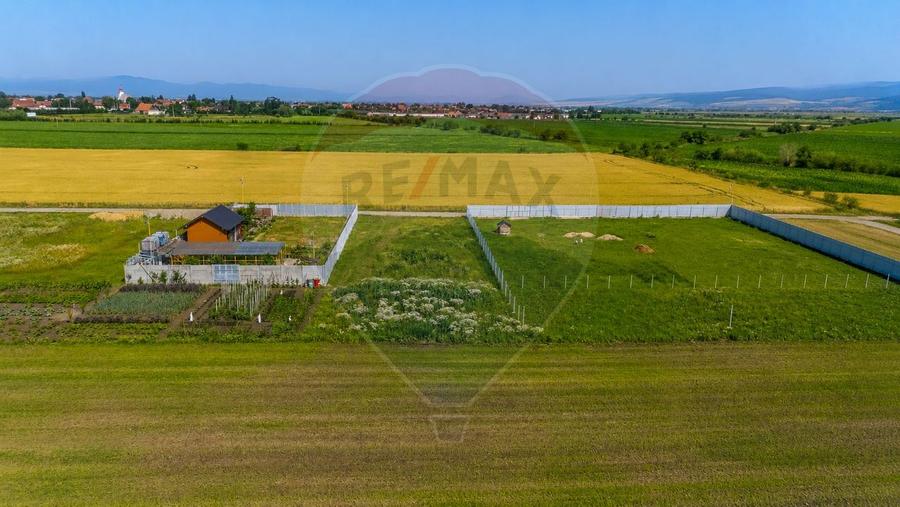 Teren Construcții intravilan de 1020 mp, în Bod