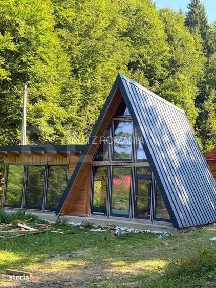 Teren 1000 mp, zona Rogojel, poalele Vladesei, Panorama montana de vis