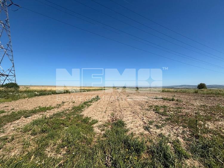 Teren agricol intravilan de 1300 mp, în Burdujeni