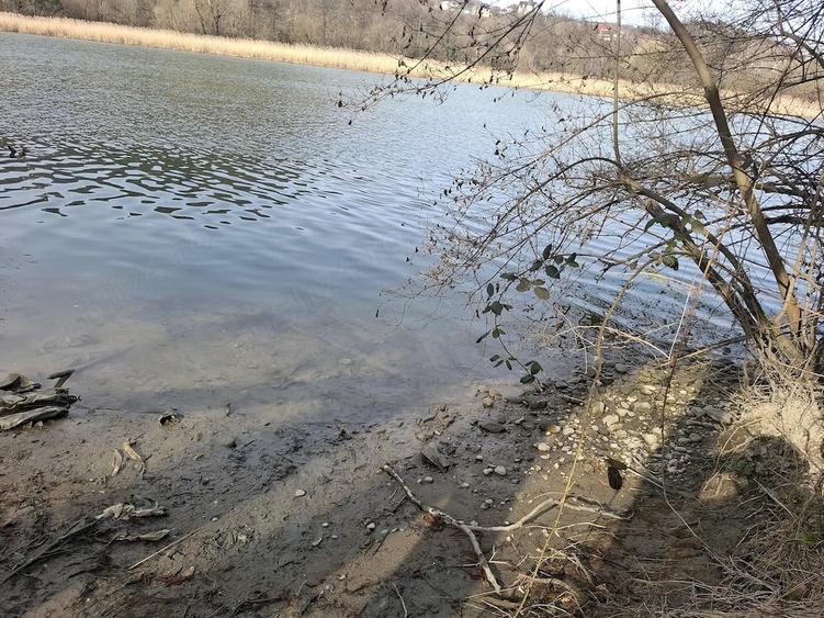 Teren de 3800 mp, în Fedeleșoiu