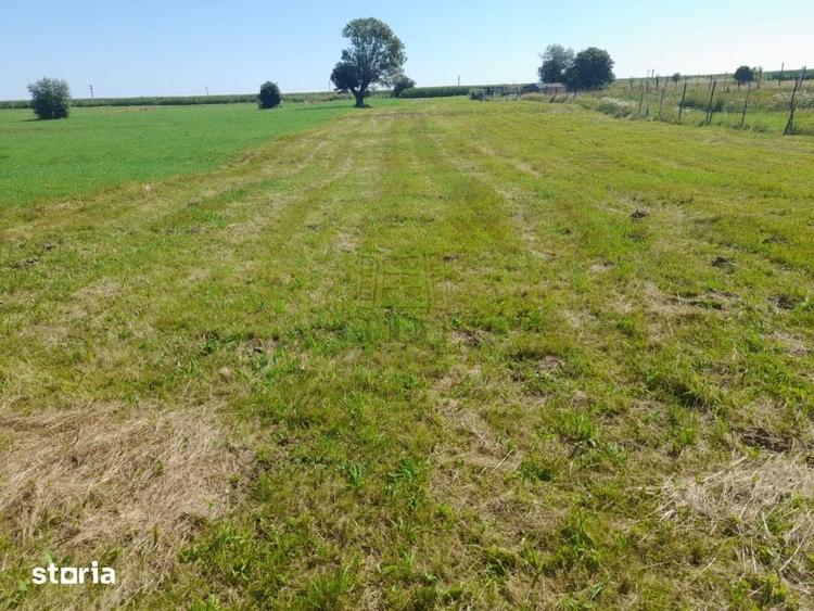 Teren de 3500 mp, în Hârseni