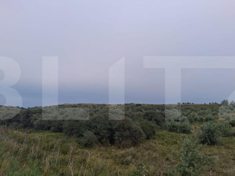 Teren agricol extravilan de 17300 mp, în Soroceni