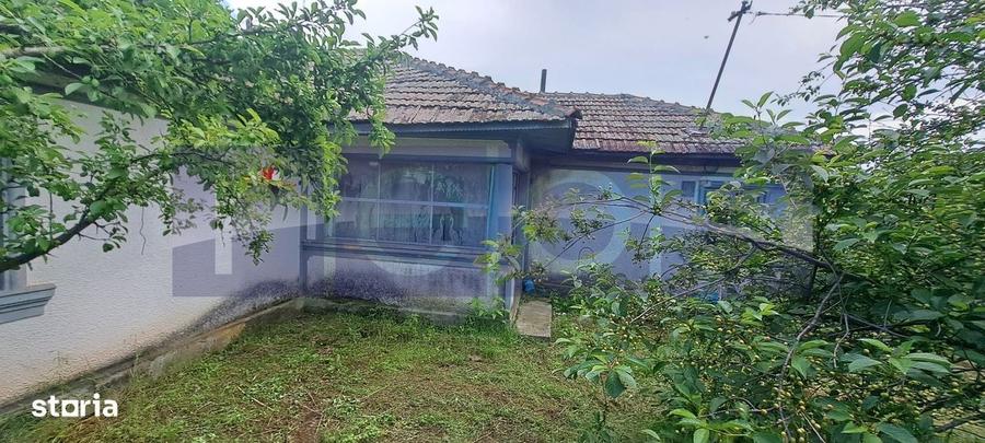 Vanzare Casa | Teren 2500 Mp | Livada Si Vie | Sat Brebina Scrioaste - 4
