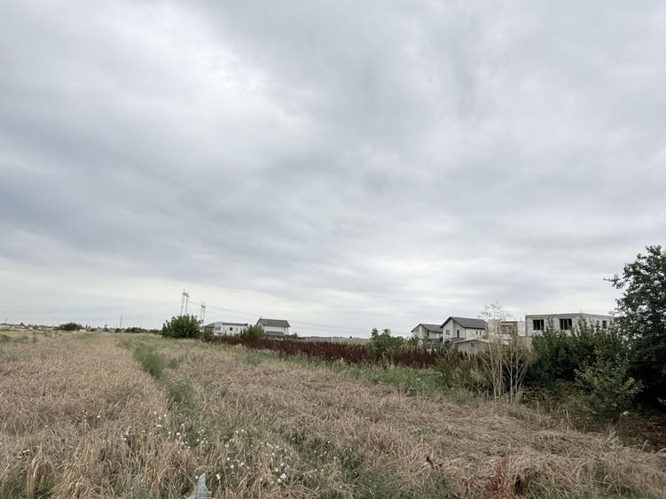 Teren Construcții intravilan de 5000 mp, în Berceni