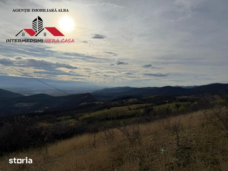 Teren de 8010 mp, în Vințu de Jos