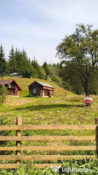 Teren de 4080 mp, în Valea Doftanei