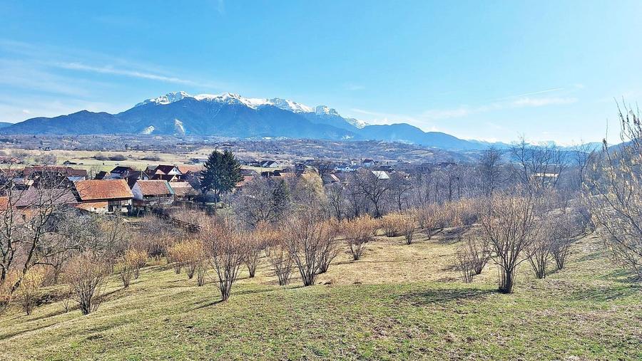 Teren Construcții extravilan de 17000 mp, în Tohanu Nou