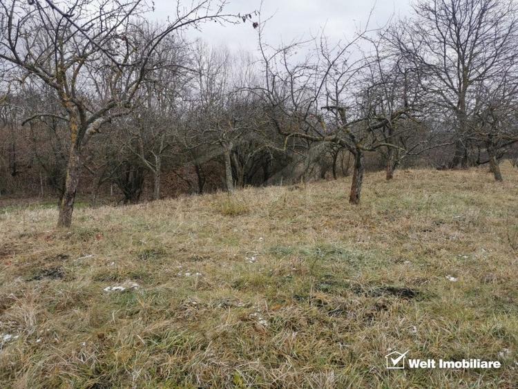 Teren Construcții intravilan de 2030 mp, în Aiton