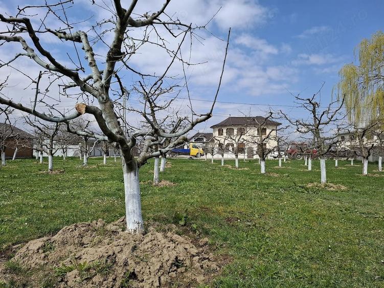Teren de 2000 mp, în Răucești