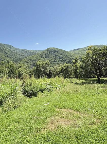 Teren de 6344 mp, în Seciu