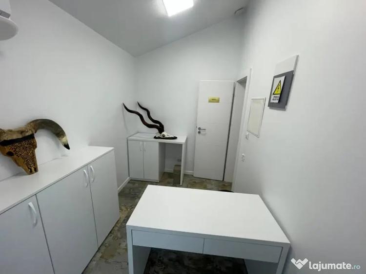 Spațiu comercial, de 66 mp, în Brazda lui Novac