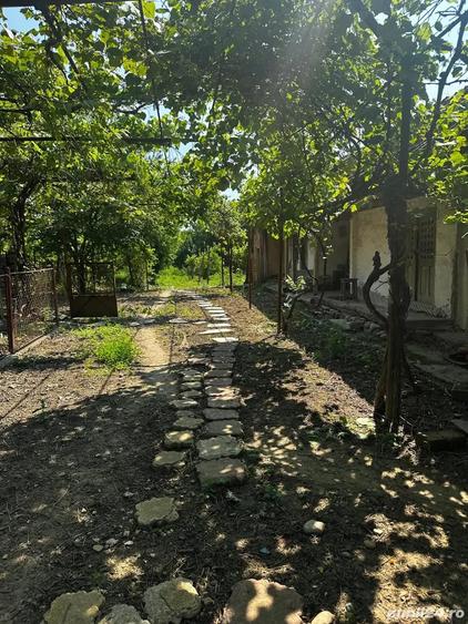 Casă cu 3 camere în Rasovița