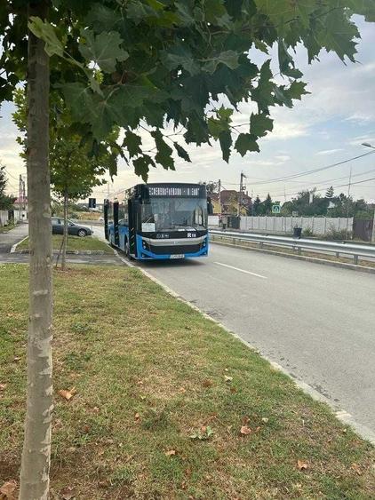 Teren de 560 mp, în Bordei