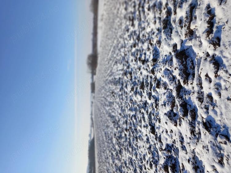 Teren de 10000 mp, în Găgeni