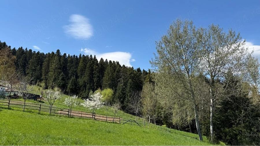 Teren de 2100 mp, în Putna