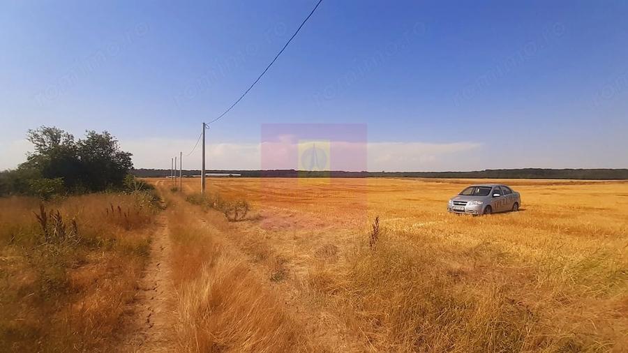 Teren de 2000 mp, în Brănești