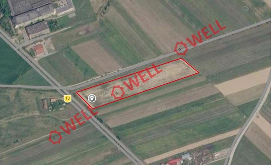 Teren extravilan de 25000 mp, în Covasna