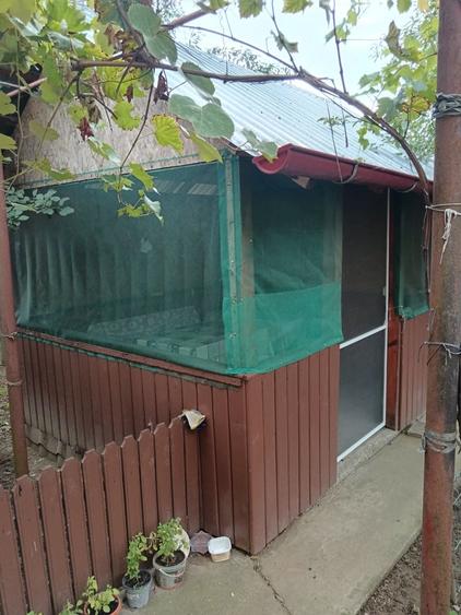 Casă cu 4 camere în Exterior Vest
