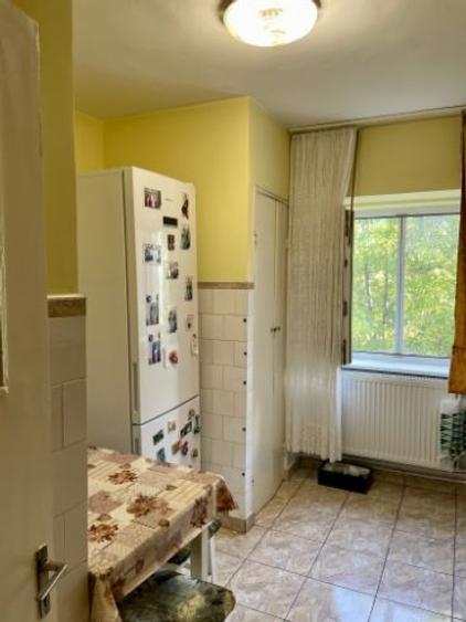 Apartament cu 3 camere decomandat în Dacia - 9