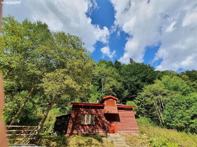 Casă cu 3 camere cu Teren 650 Mp în Central