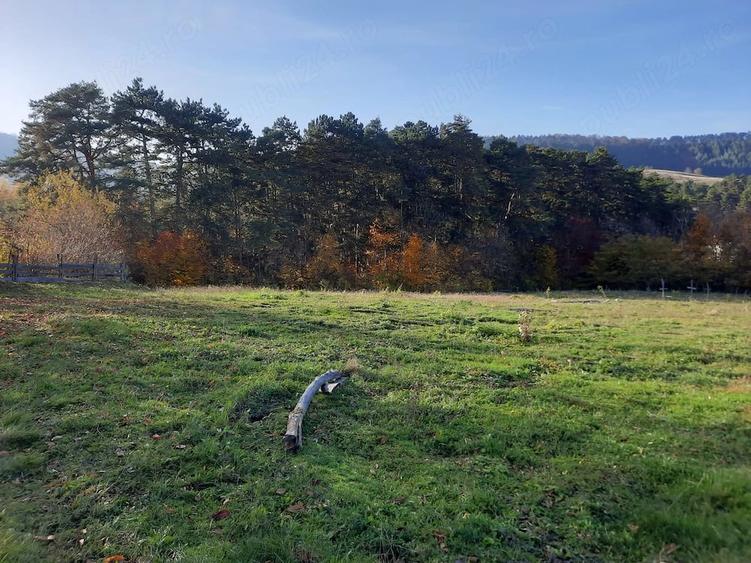 Teren în Leghia