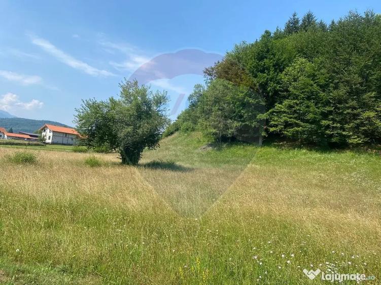 Teren în Vama Buzăului