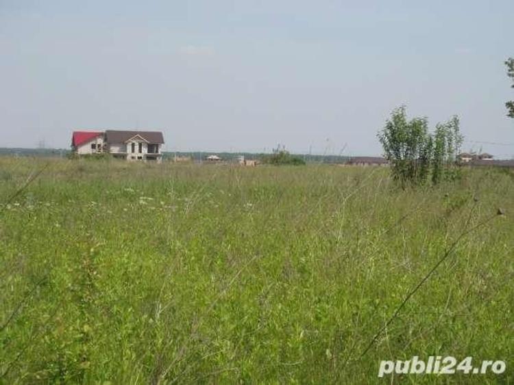 Teren de 620 mp, în Săftica