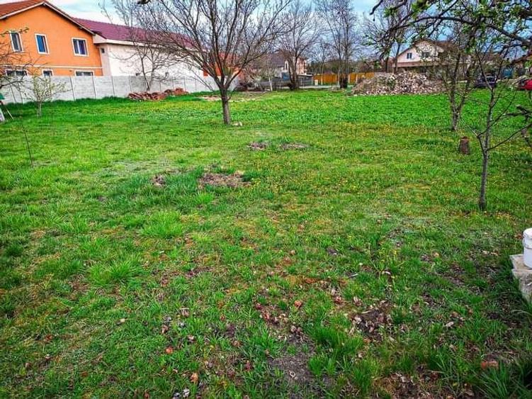 Teren de 1029 mp, în Moșnița Veche